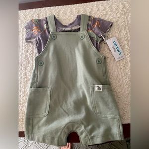 Carters 6 month green overalls and purple dinosaur shirt